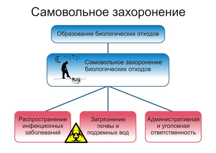 Памятка о неотложных действиях при заболевании и/или падеже животных, и правилах безопасного обращения с биологическими отходами.